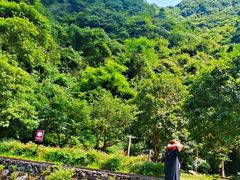 -宁波五龙潭景区