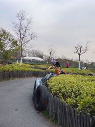 -季高兔窝窝亲子园(上海薰衣草公园店)