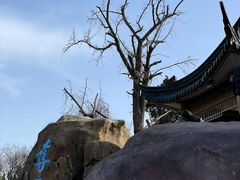 -无锡梅园公园