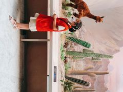 -武汉园博园(武汉自然博物馆)