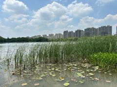 -南翔镇银翔湖公园