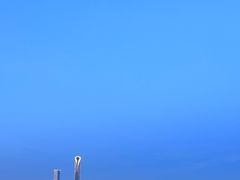 -金鸡湖景区