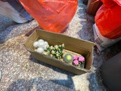 -北京市昌平区中医医院