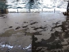 -海河假日酒店·游泳馆