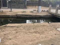 -春风习习