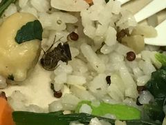 -SHUBO蔬小盒(三里屯店)