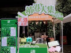 -靖港古镇