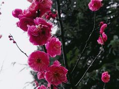 -白塘生态植物园