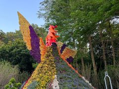 -深圳仙湖植物园