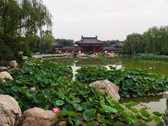 -西安华清御汤酒店