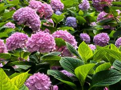 -常州古运河南大街文化旅游区-人民公园