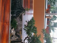 -王春春鸡汤饭(成都城西优品道店)