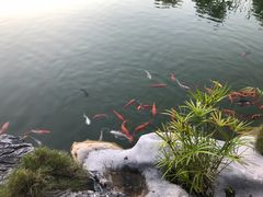 -谷丰健康凤贤居酒家