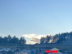 -果松木炭酸菜铜火锅·外婆参鸡汤