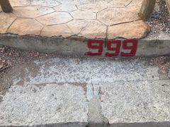 -金龙寺国家森林公园
