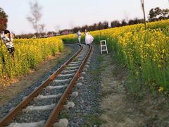 -歌斐颂巧克力小镇