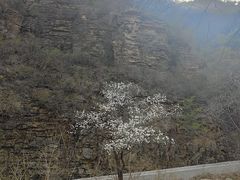 -湖洞水自然风景区