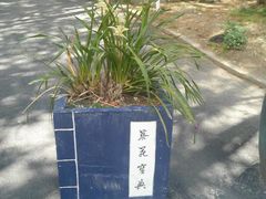 -天龙八部武侠城