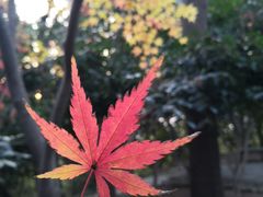 -杭州黄龙洞