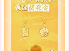 -华宇购物中心(开化寺街店)