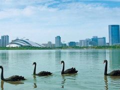 -天鹅湖体育公园