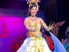 -金东尼人妖秀