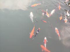 -深业半汤御泉庄温泉