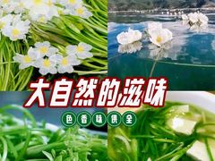 -福照楼汽锅鸡·云南特色菜(万达广场店)
