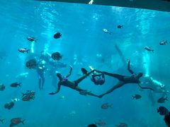 -瑞德姆美人鱼海底演艺主题餐厅(亚龙湾店)