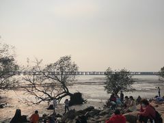 -宝安西湾红树林湿地公园