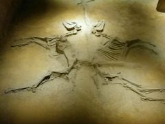 -洛阳周王城天子驾六博物馆