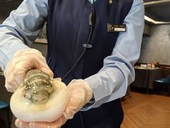-肆月河豚·新淮扬(金融街店)