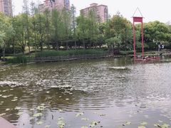-陈家山荷花公园