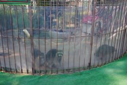 -萌宠亲子动物乐园(槐房万达店)