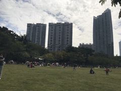 -广州珠江公园
