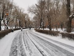 -长春市南湖公园