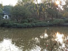 -秋霞圃