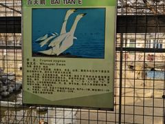 -保定市动物园