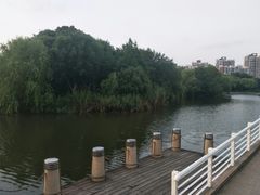-新江湾城公园