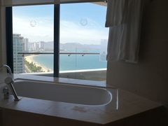 -芽庄喜来登水疗酒店