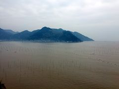 -北岐滩涂