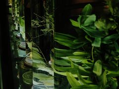 -广州神农草堂中医药博物馆