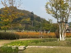 -南北湖风景区