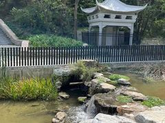 -白水寺森林公园