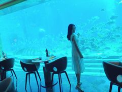 -亚特兰蒂斯•OSSIANO奥西亚诺海底餐厅