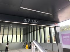 -梧桐山风景名胜区