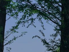 -东钱湖旅游度假区