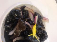 芥末醋拌黑木耳-万龙洲海鲜(大兴绿地缤纷城店)