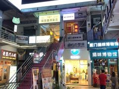 -猫咪博物馆(顶澳仔猫街店)
