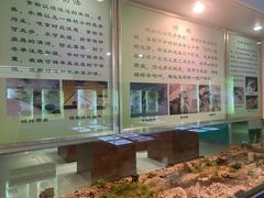 -上海昆虫博物馆